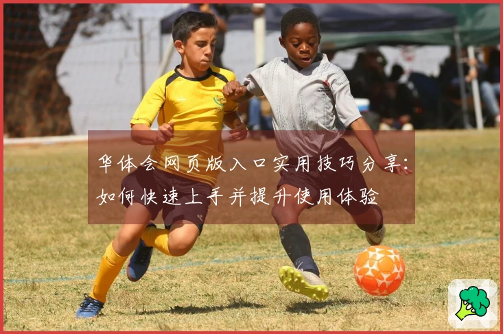 华体会网页版入口实用技巧分享：如何快速上手并提升使用体验