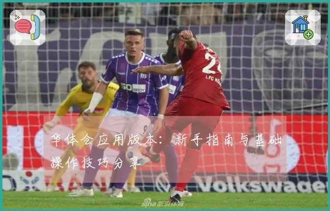 华体会应用版本：新手指南与基础操作技巧分享
