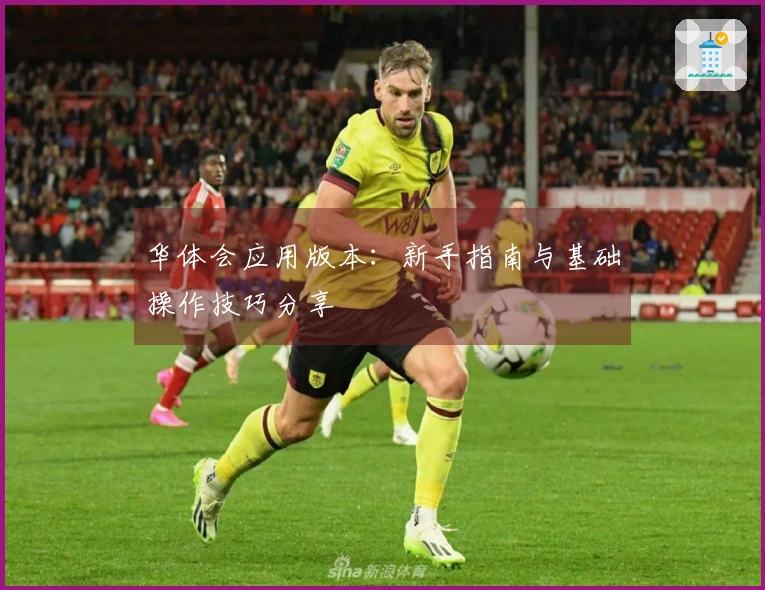 华体会应用版本：新手指南与基础操作技巧分享